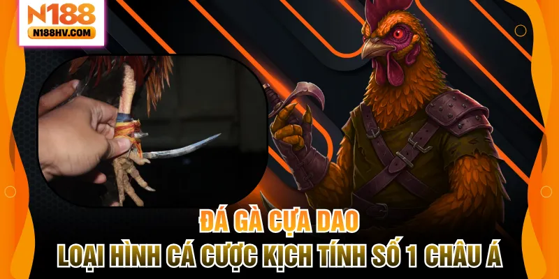 Đá gà cựa dao