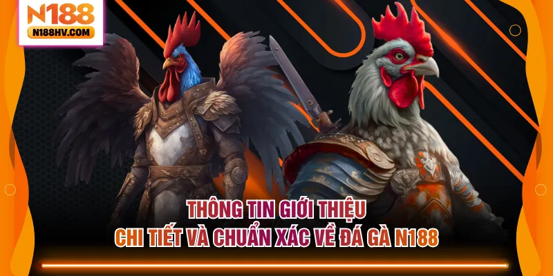 Thông tin giới thiệu chi tiết và chuẩn xác về đá gà N188